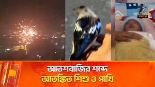 নিষিদ্ধ রাতেও আতশবাজির তাণ্ডব: আতঙ্কে শিশু ও পাখিরা | Maasranga News