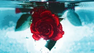 Moodshift - Walk On Water (feat. Oliver Nelson x Lucas Nord x flyckt)