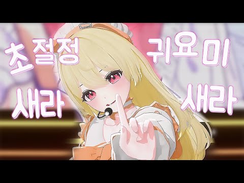 [한국어커버] #초절정귀여워 💛새라🧡 (#超絶かわいい HoneyWorks / Korean Cover/오뎅걸스콘서트)