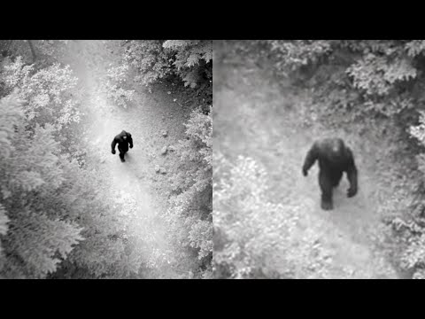 Helicopter Pilot Films GIANT SASQUATCH Carrying Human Body  - Bigfoot Story