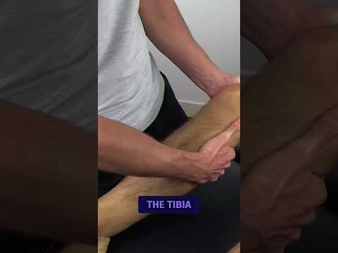 Lachman Test | Cruciate Ligament