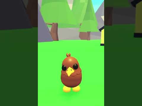 Your adopt me pet based on your age!!!