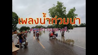 เพลงน้ำท่วมนา