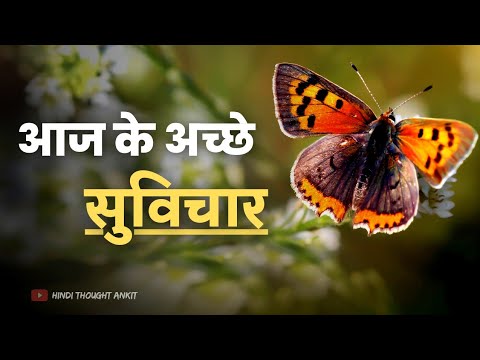 आज के अच्छे सुविचार || Aaj ka Suvichar Status | Motivational Suvichar | Anmol vachan | Hindi Thought
