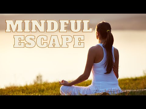 Mindful Escape | Organic House Meditation | Echoes of Tomorrow