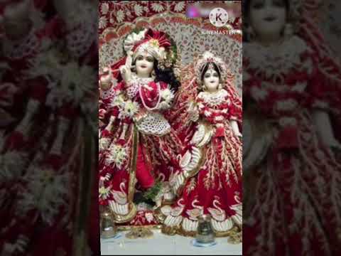 💯Jay shree ❤️ Krishna 💝 Jay radhe ❤️ Rani 🙏#radhekrishna #radheradhe #harekrishna #krishna #radharan