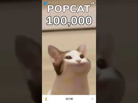 “POPCAT” 點擊10萬下瞬間（沒開高速連點）