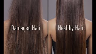 how to have healthy hair on any diet (even raw or breatharian