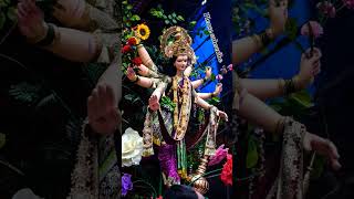 Maa Durga Mata Rani Status🌺 Sherawali Mata | #shreejeebhakti #Shorts #matarani #mata#viral #youtube