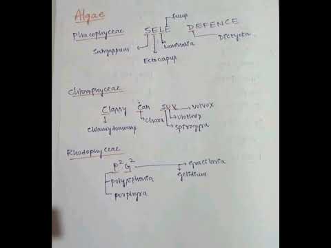 🔥Trick to remember examples of algae🔥|| plant kingdom #neet2023 #neet #viral #trending #shorts