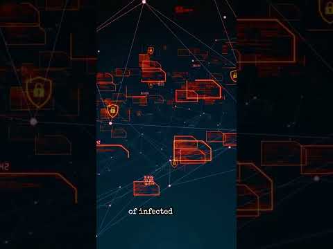 How to Protect Your Website from DoS Attacks