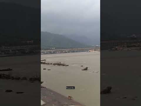 #shortsvideo #rishikeshshorts #rishikeshtravel #uttarakhandtourism #gangaghat #jankisetu #like