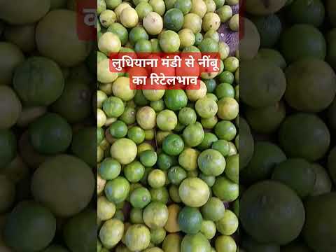 20 मार्च 2025 लुधियाना मंडी #नींबू कारिटेल भाव#vegetableprice