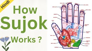 The Science Behind Sujok Therapy: Exploring How it Works?