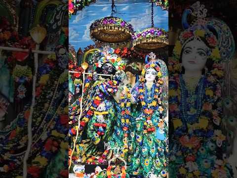 Today's Darshan of Krishna Janmashtami || iskcon Mayapur#iskcon #krishna #janmashtami #2025 #mayapur