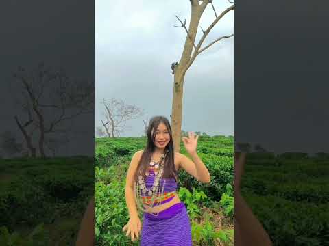 Armita Reang #kaubru #dance #video #reels #viralvideo