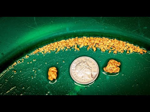 Finding GOLD in the rivers of Scotland