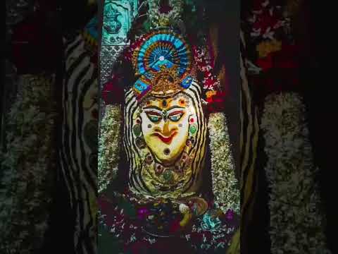 bhole tere dar pe chale ayenge #bhole #mahakal #shorts