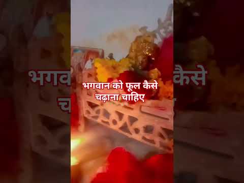 भगवान को फूल कैसे चढ़ाना चाहिए जानिए#shortvideo #panditpradeepmishrajikeupay #trending min