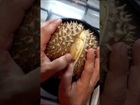 Let's eat durian #durian #durianlover #youtubeshorts