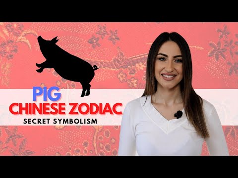 PIG Chinese Zodiac Sign - Everything You Need To Know!