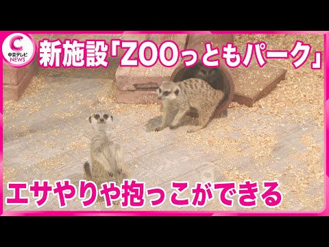 【南知多ビーチランド】 新施設「ＺＯＯっともパーク」オープン！　ミーアキャットなど17種類の生き物にエサやり・抱っこなど　 愛知・美浜町