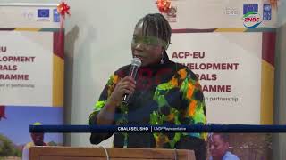 Government Launches Artisanal Mining Strategy