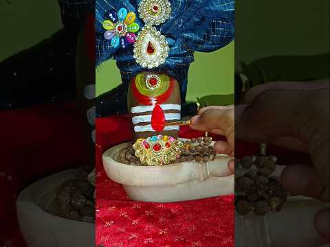 एकादशी का श्रृंगार #shiv #mahadev #mahakal #shorts #shortvideos #trending #trend #viralvideo #video