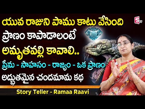 Ramaa Raavi Latest Chandamama Kathalu | Interesting Stories | Best Telugu Stories| SumanTV Life