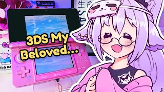 I Built My Dream Modded 3DS