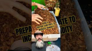 Preparing my snake substrate #molinarosnakelab #ballpython #snakecare #royalpython #petsnake #shorts