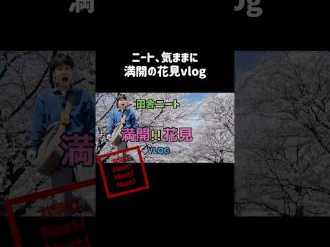 【花見vlog 】桜満開！ニーさんぽSPECIAL ショート用
