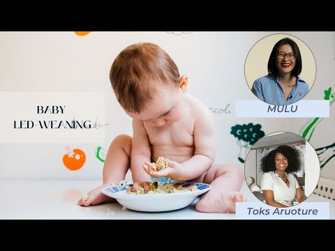Baby-Led Weaning: What you need to know | Ask Expert