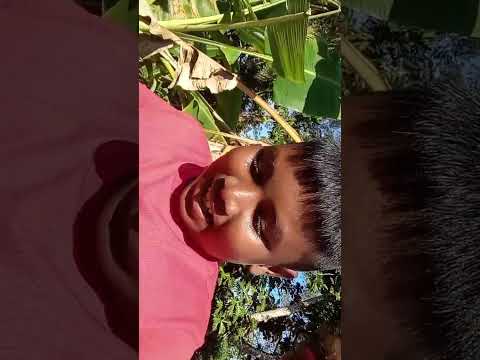 கிறிஸ்மஸ்