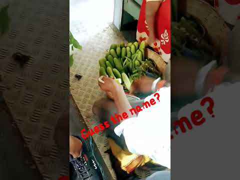 #trending #viral #shorts #new #funny #instagram #reels #trendingshorts #trevel #guess #train