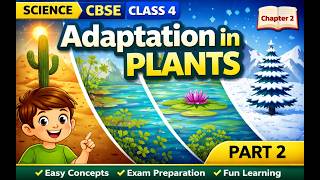 Adaptation in Plants (PART 2) | Class 4 Science | Easy CBSE Learning
