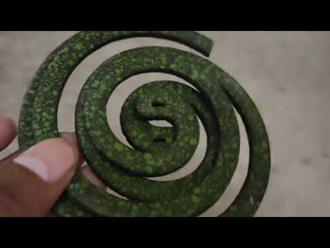 Vlog of Green Coil 🌳
