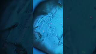 Zooming into Salt Until It Becomes Glass Cubes #microscope