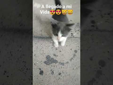 24 de noviembre de 2021