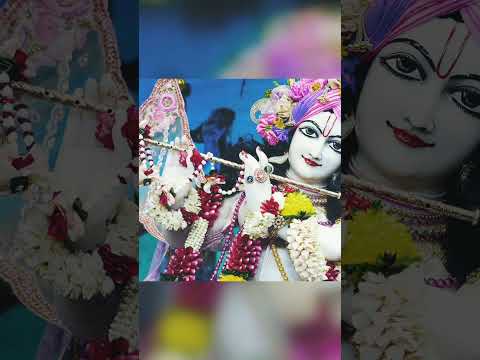 Radhe Radhe #shorts #radheradhe