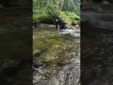 Floating around looking for gold 😎#goldpanning #visitscotland #adventurescotland #underwaterlife