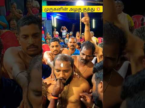 ✨ Alagu Kuthu for Lord Murugan 🔱 | Tamil Nadu Kavadi Festival 2025 🎶  #Murugan #AlaguKuthu #Kavadi