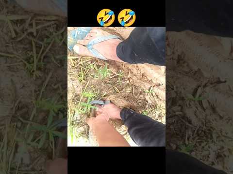 🤣best funny moment#funny #viral #trending #shortsvideo #shorts