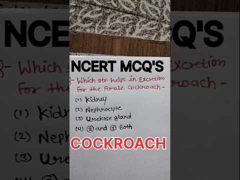 Cockroach Neet MCQ'S #ytshorts #trending #shorts #neet