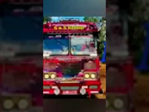 The bus is best