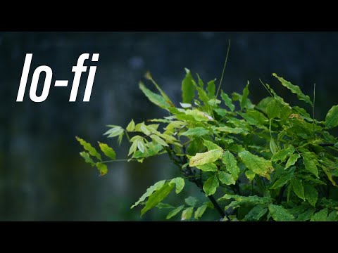 [lofi] cosmowave - i'm lost | Free Copyright Music