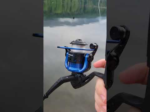 Gone Fishing #Fishing #GoneFishing