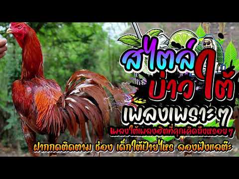 เพลงใต้ ใหม่ล่าสุด ✨️เพลงมาแรงทุกเพลง 2568 ✨️เพลงใต้เพราะๆ มาใหม่ล่าสุด @daktai_2568