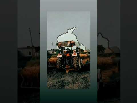 Punjab de jaye.. kandyan nal lag lag royie ... ||Ammy virk|| #punjab #ammyvirk #855
