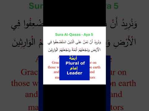 Sura Al-Qasas  Aya 5 سُوَرةُ اْلَقَصَص  #quranicarabic